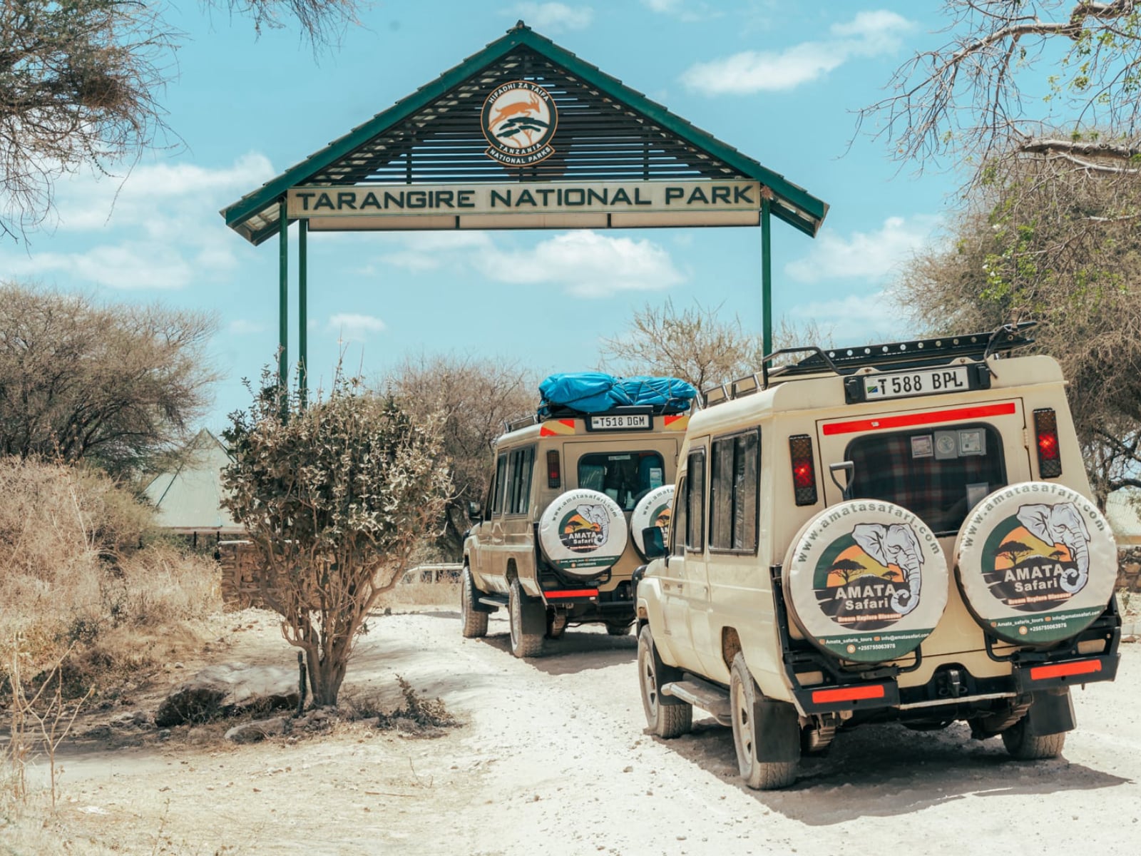 AMATA SAFARI